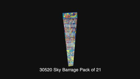 Sky Barrage Rocket 21 Pack